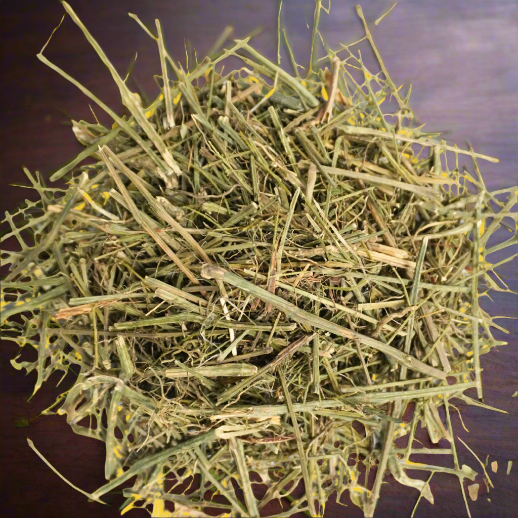nilavembu