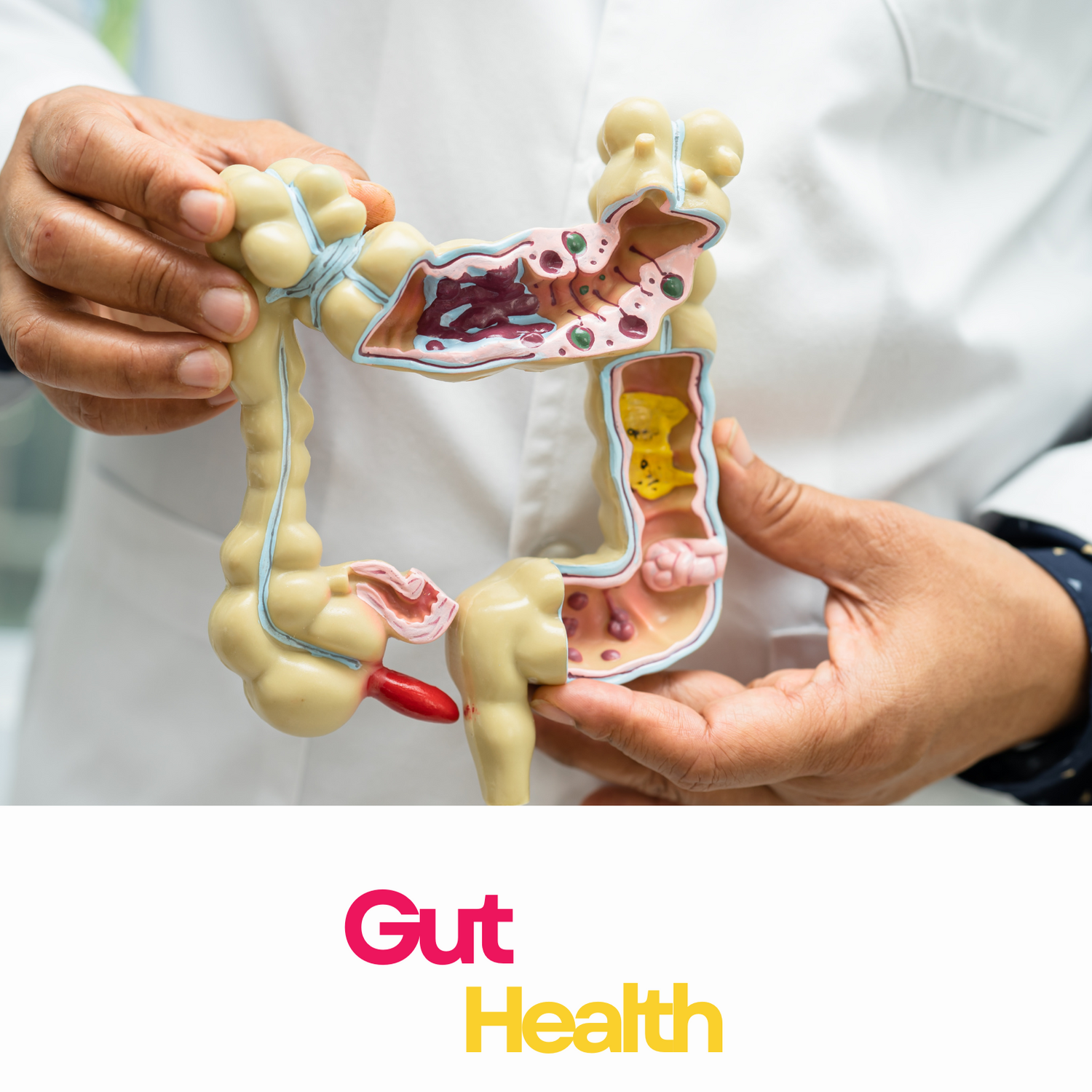 Gut Health