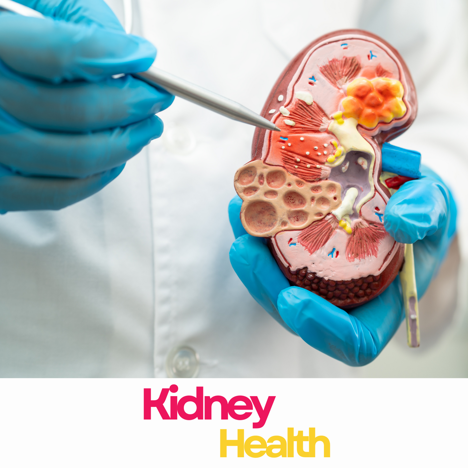 Kidney Health